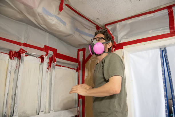 Best Mold Remediation for Healthcare Facilities  in Wanakah, NY