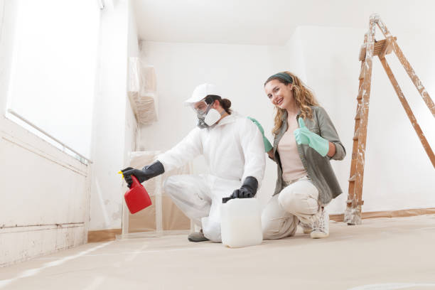 Best Water Damage & Mold Remediation  in Wanakah, NY